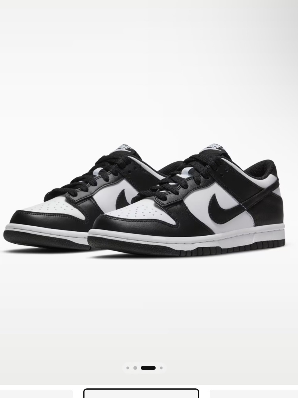 Kids/Youth Nike Dunk Low